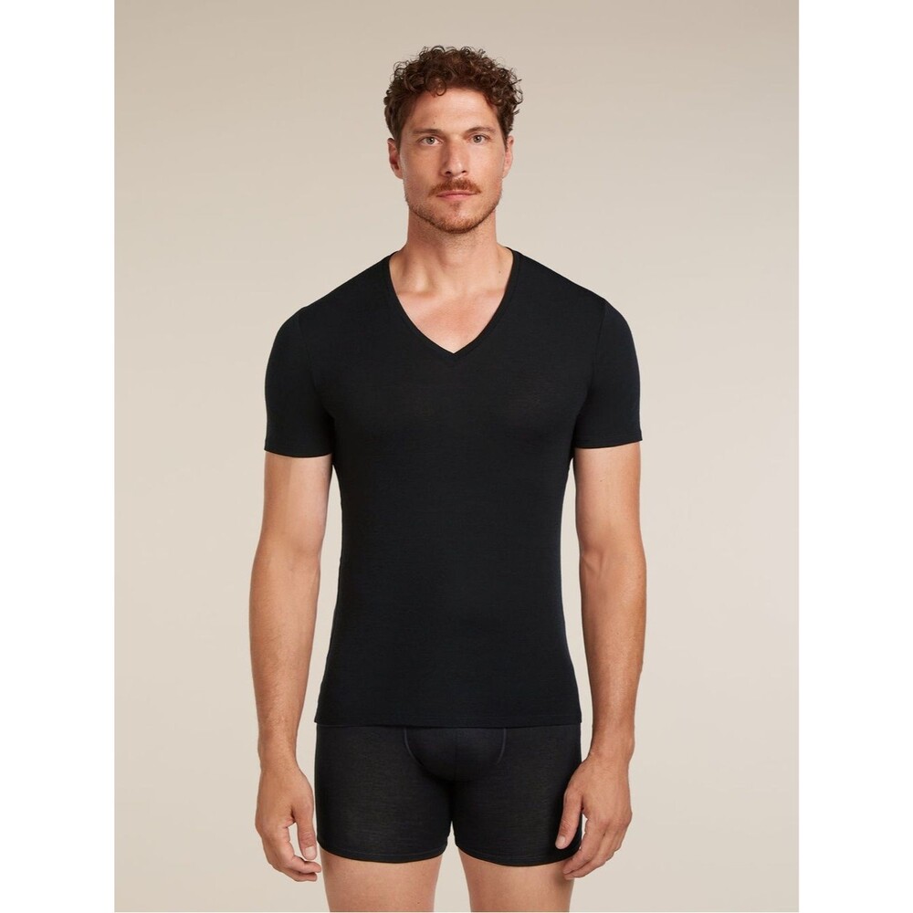 Icebreaker Men's Merino 150 Anatomica Short Sleeve V Neck Top M